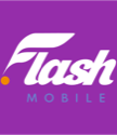 Flash logo